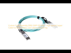 Custom Cable Assembly 200G QSFP-DD DAC – High Speed Copper Cable For Data Centers, Low Latency, Plug & Play
