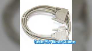 Custom Wire Harness Assembly Fast Delivery